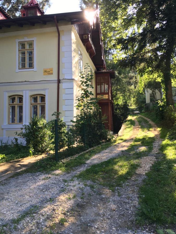 Vila Flavia Sinaia Bagian luar foto
