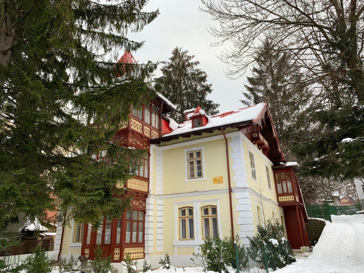 Vila Flavia Sinaia Bagian luar foto