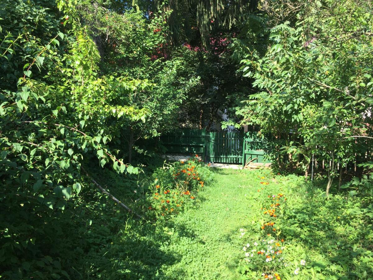 Vila Flavia Sinaia Bagian luar foto