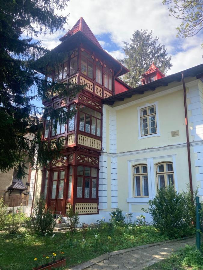 Vila Flavia Sinaia Bagian luar foto