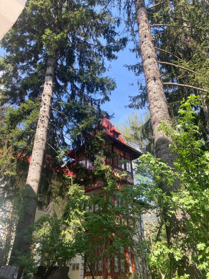 Vila Flavia Sinaia Bagian luar foto