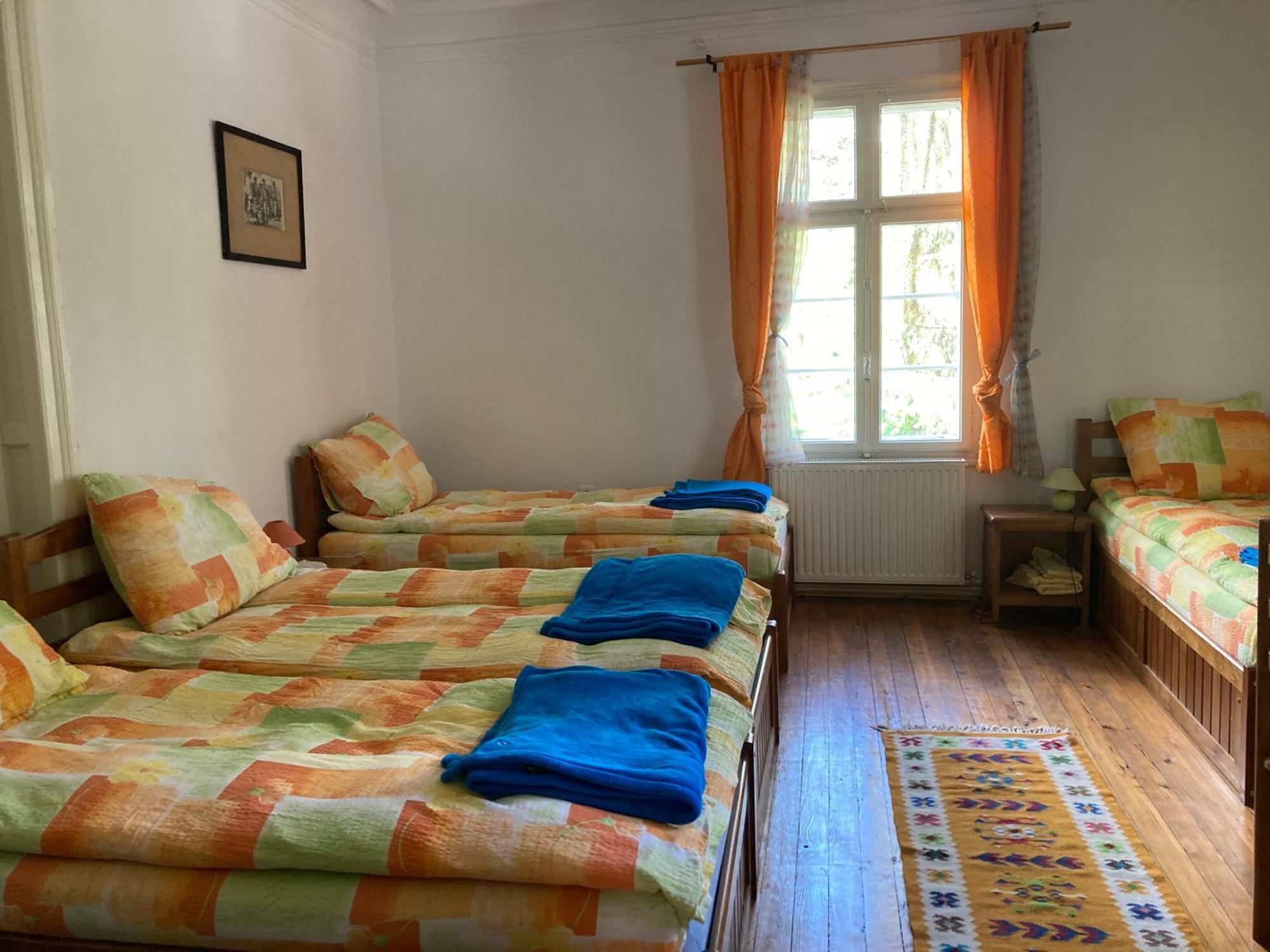 Vila Flavia Sinaia Bagian luar foto